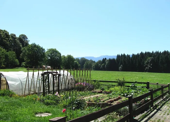 Saliterhof